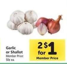 Garlic or Shallot