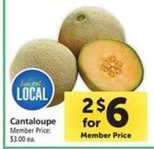 Cantaloupe