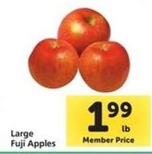 Large Fuji Apples