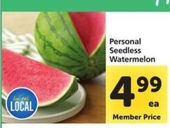 Personal Seedless Watermelon
