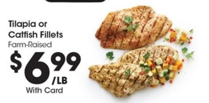 Tilapia or Catfish Fillets