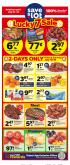 leaflet