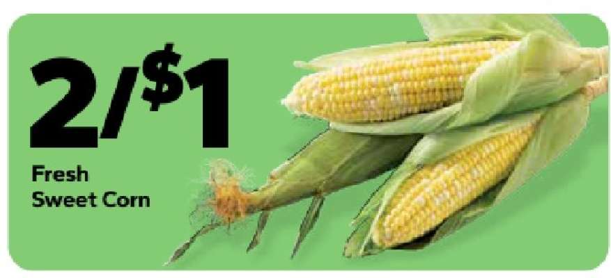 Fresh Sweet Corn