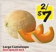 Large Cantaloupe