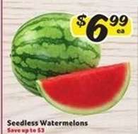 Seedless Watermelons