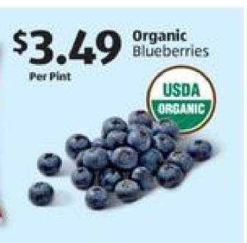Organic Blueberries