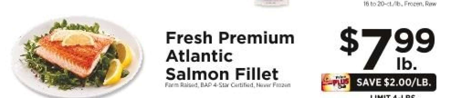 Fresh Premium Atlantic Salmon Fillet