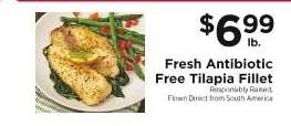 Fresh Antibiotic Free Tilapia Fillet