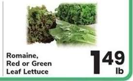 Romaine, Red or Green Leaf Lettuce