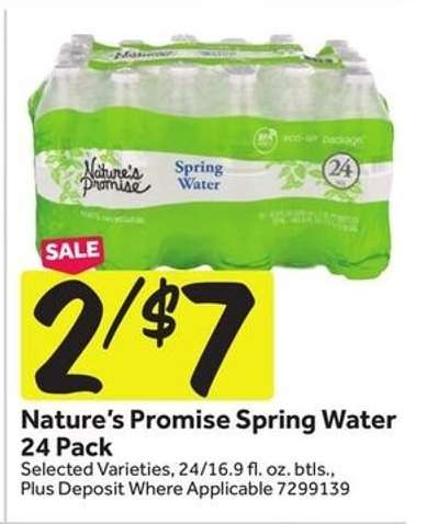 Nature's Promise Spring Water 24 Pack