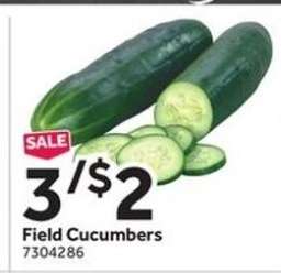 Field Cucumbers