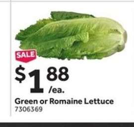 Green or Romaine Lettuce