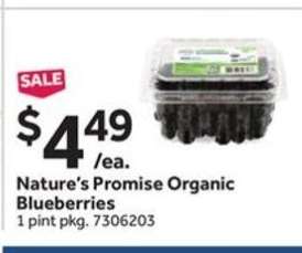 Nature’s Promise Organic Blueberries