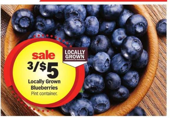 Locally Grown Blueberries
