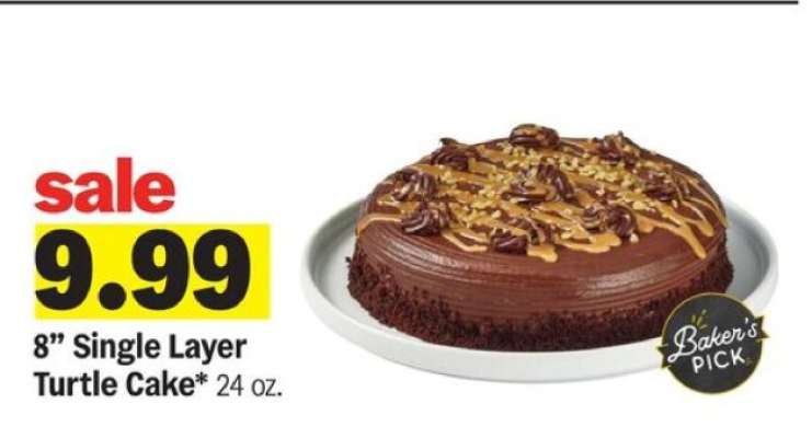 8” Single Layer Turtle Cake