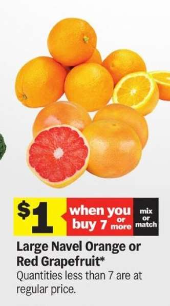 Large Navel Orange or Red Grapefruit