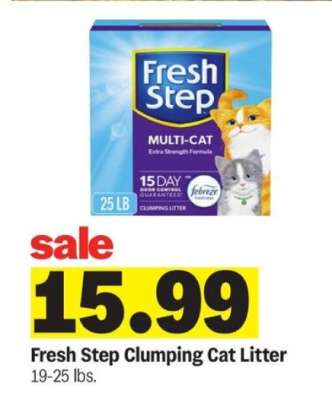 Fresh Step Clumping Cat Litter