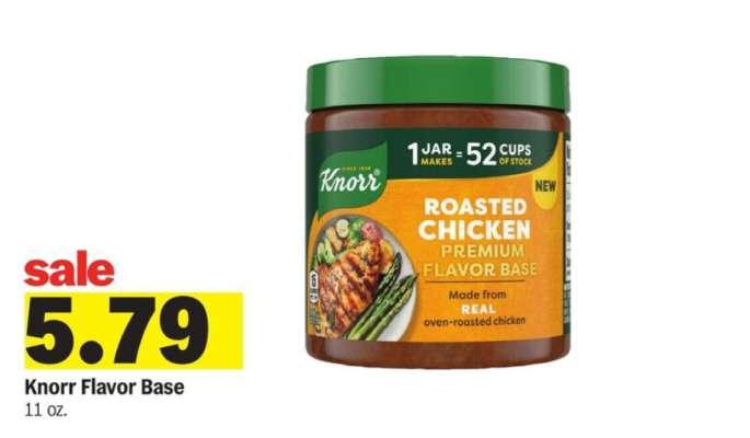 Knorr Flavor Base
