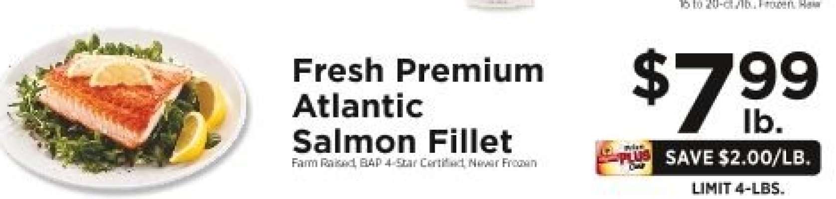 Fresh Premium Atlantic Salmon Fillet