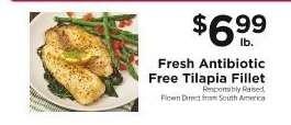 Fresh Antibiotic Free Tilapia Fillet