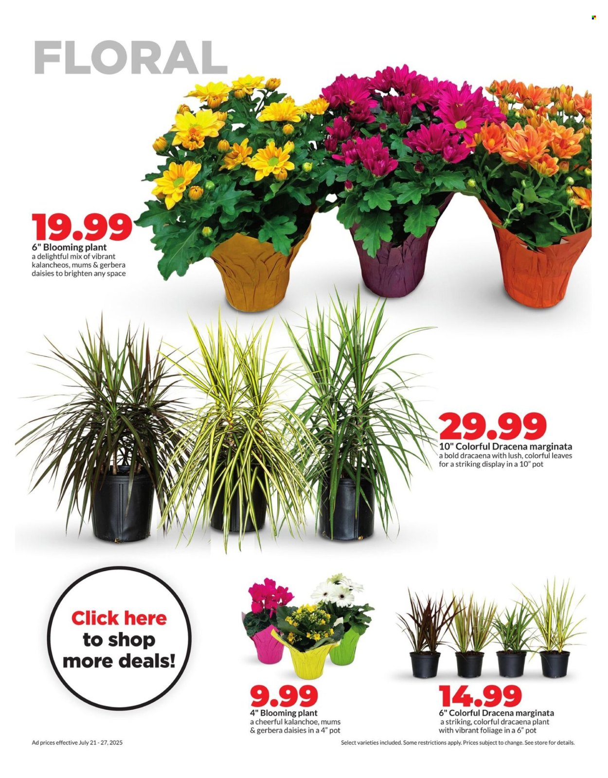 Hy-Vee ad - 07/21/2025 - 07/27/2025. Page 29