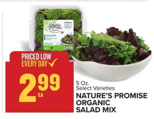 Nature's Promise Organic Salad Mix