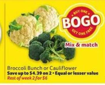 Broccoli Bunch or Cauliflower