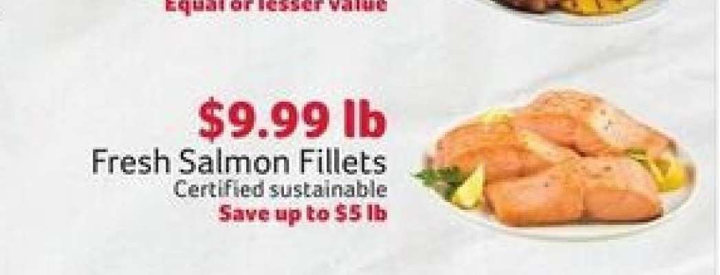 Fresh Salmon Fillets