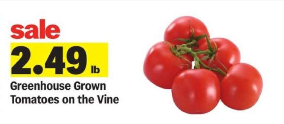 Greenhouse Grown Tomatoes on the Vine