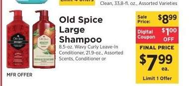 Old Spice Large Shampoo