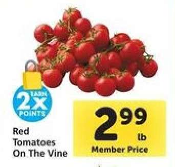 Red Tomatoes on the Vine