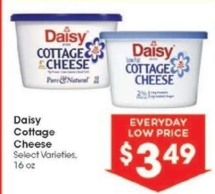 Daisy Cottage Cheese
