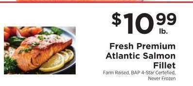 Fresh Premium Atlantic Salmon Fillet