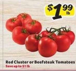 Red Cluster or Beefsteak Tomatoes