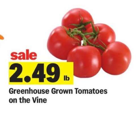 Greenhouse Grown Tomatoes on the Vine