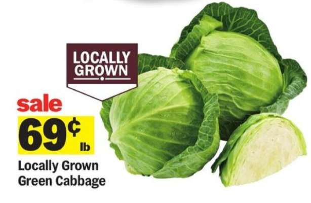 Locally Grown Green Cabbage