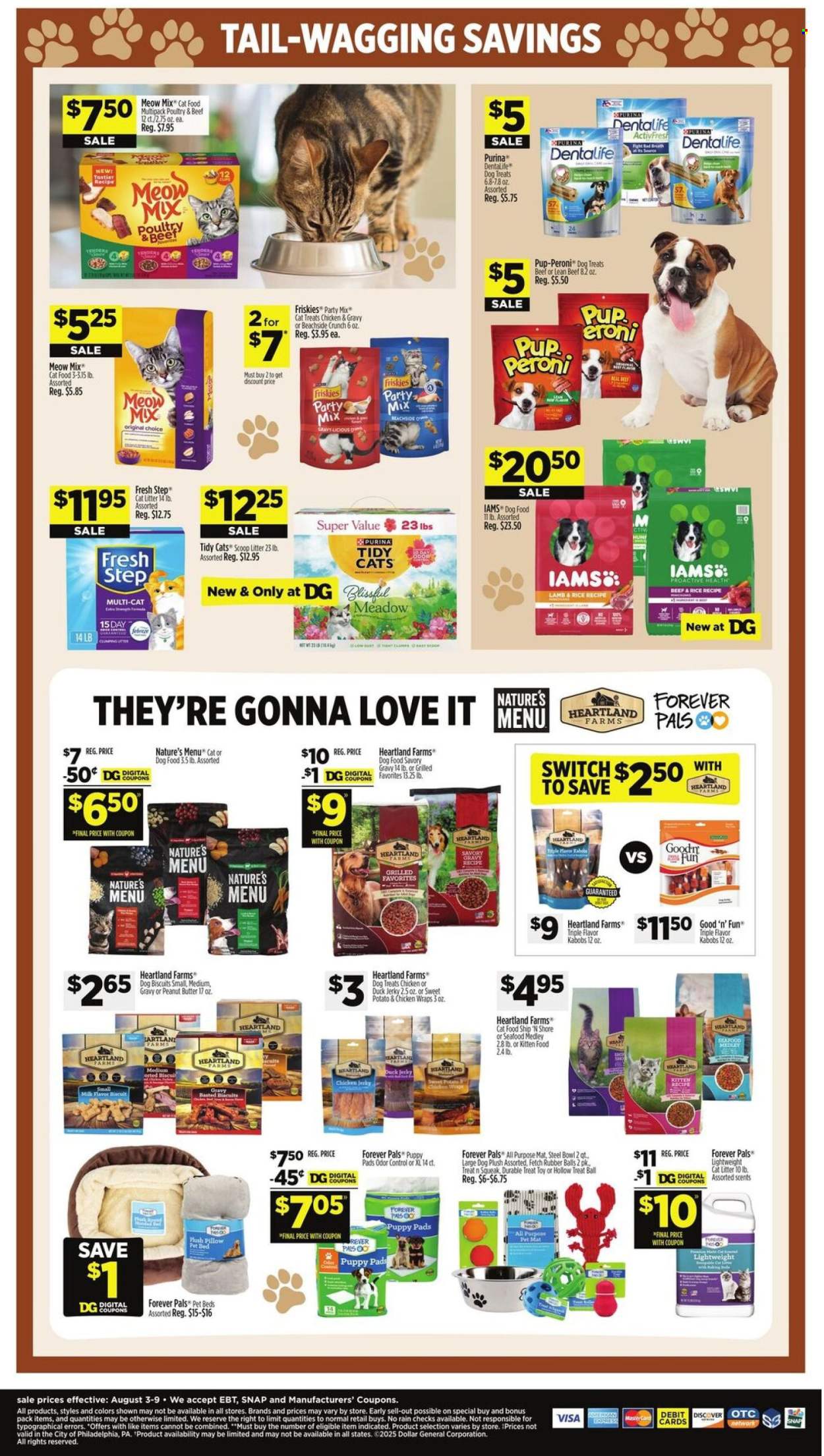 Dollar General ad - 08/03/2025 - 08/09/2025. Page 7