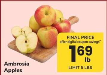Ambrosia Apples