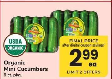 Organic Mini Cucumbers