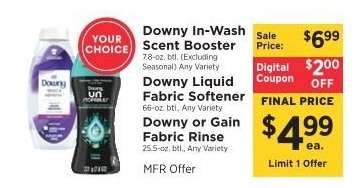 Downy In-Wash Scent Booster / Downy Liquid Fabric Softener / Downy or Gain Fabric Rinse