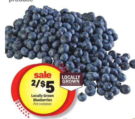 Locally Grown Blueberries