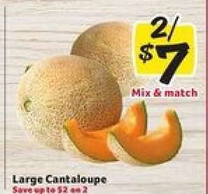 Large Cantaloupe