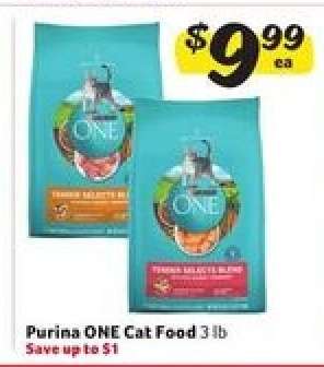 Purina ONE Cat Food