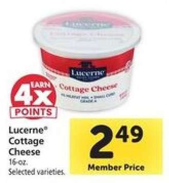 Lucerne Cottage Cheese