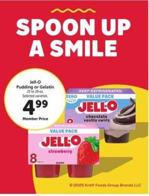 Jell-O Pudding or Gelatin