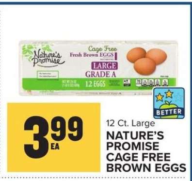Nature's Promise Cage Free Brown Eggs