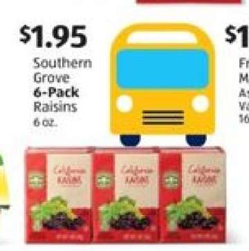 Southern Grove 6-Pack Raisins