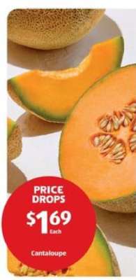 Cantaloupe