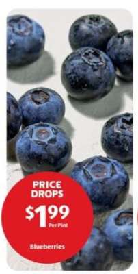 Blueberries