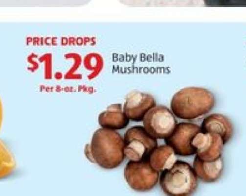 Baby Bella Mushrooms